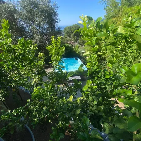 Vista Mare Portofino By Portofinovacanze Bed & Breakfast